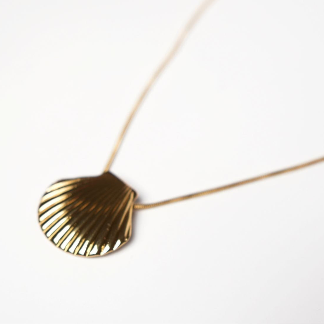 Shell Pendant Necklace