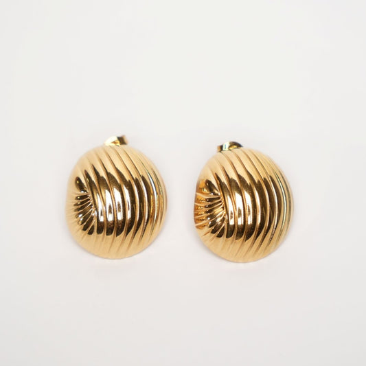 Ridged Shell Stud Earrings