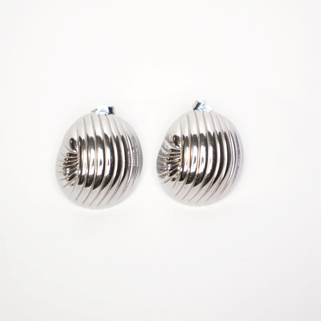 Ridged Shell Stud Earrings